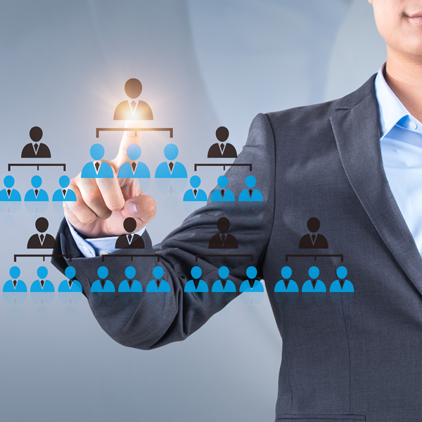 Senior Management
